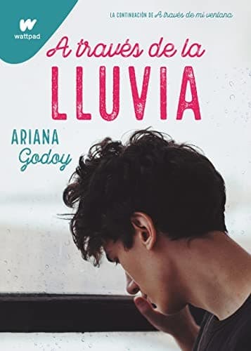 A través de la lluvia — Ariana Godoy, libro usado