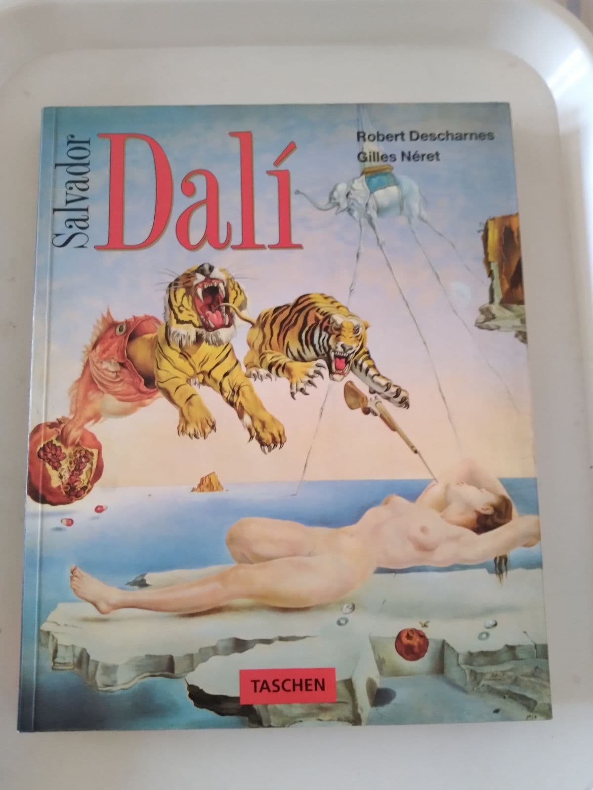 Salvador Dalí — Robert Descharnes - Gilles Néret, libro usado (foto 1 de 4)