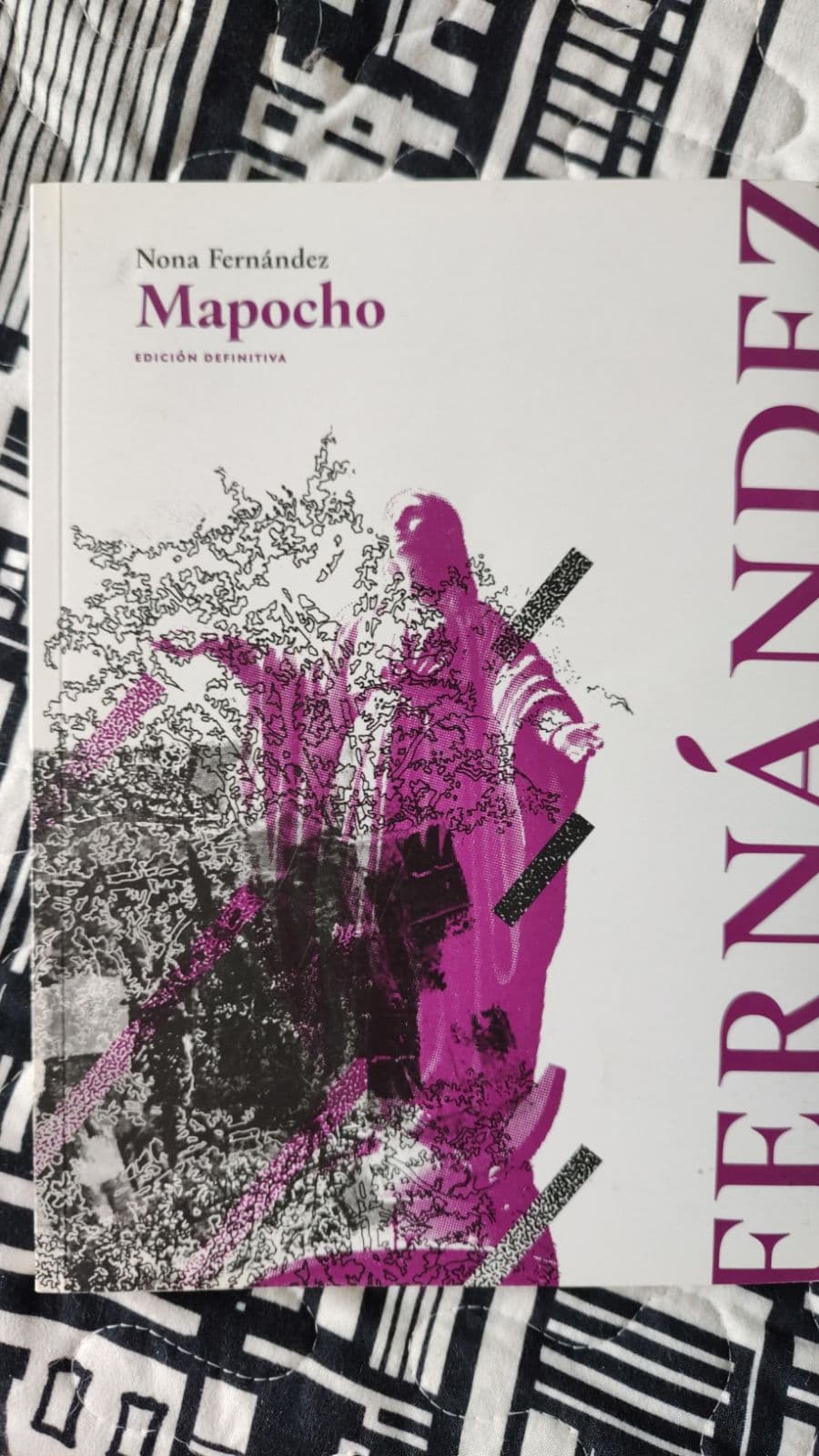 Mapocho — Nona Fernández, libro usado
