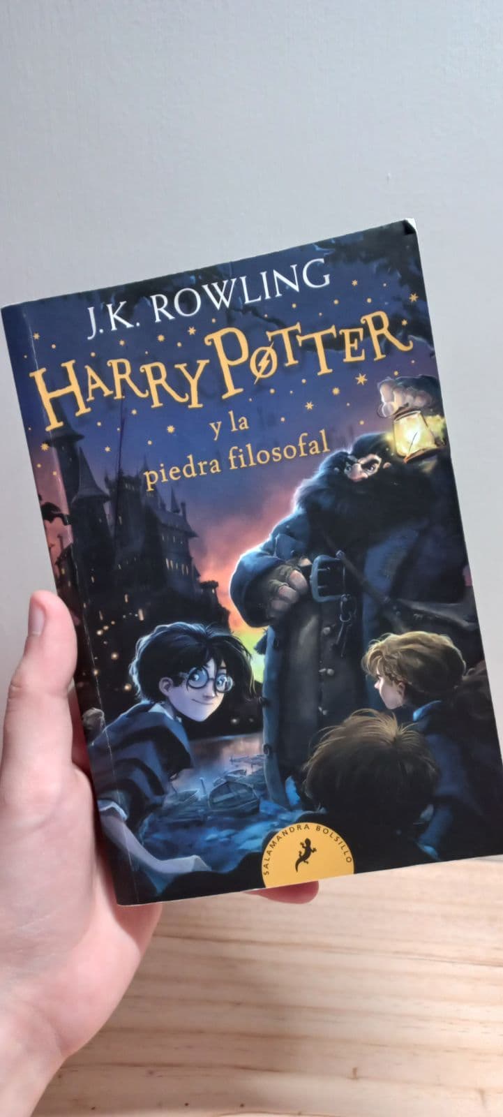 Harry Potter y la piedra filosofal — J.K. Rowling, libro usado