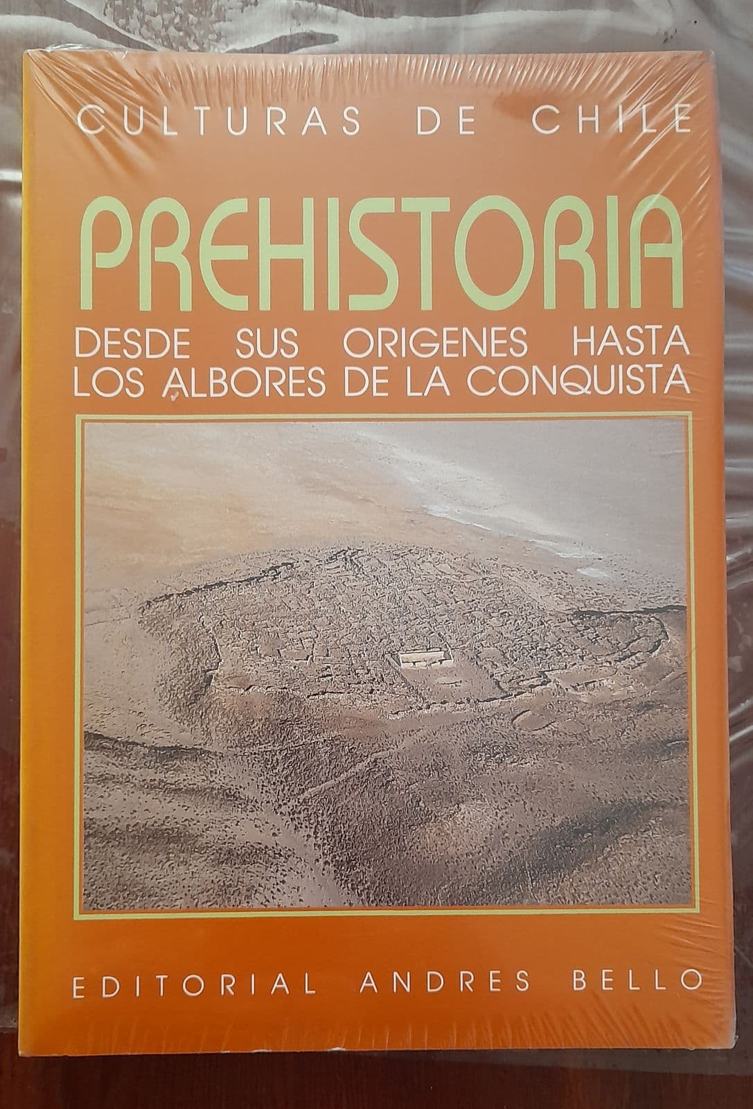 Prehistoria Desde sus orígenes hasta los albores de la conquista — Jorge Hidalgo Lehuedé, libro usado (foto 1 de 3)