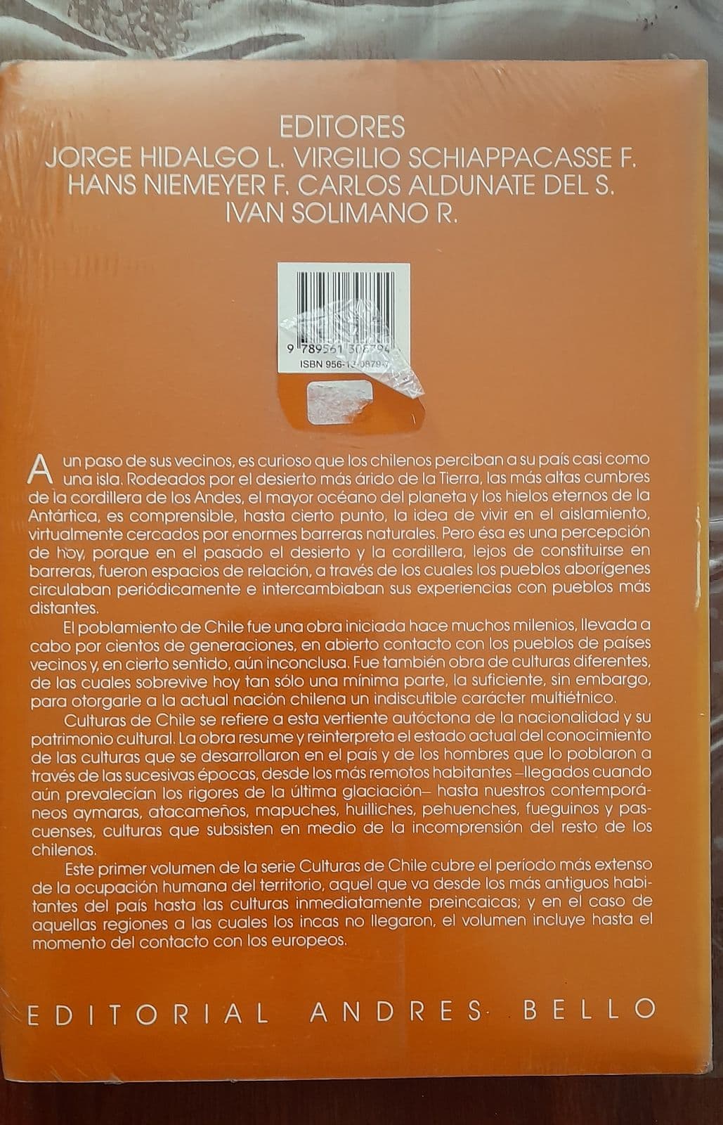 Prehistoria Desde sus orígenes hasta los albores de la conquista — Jorge Hidalgo Lehuedé, libro usado (foto 2 de 3)