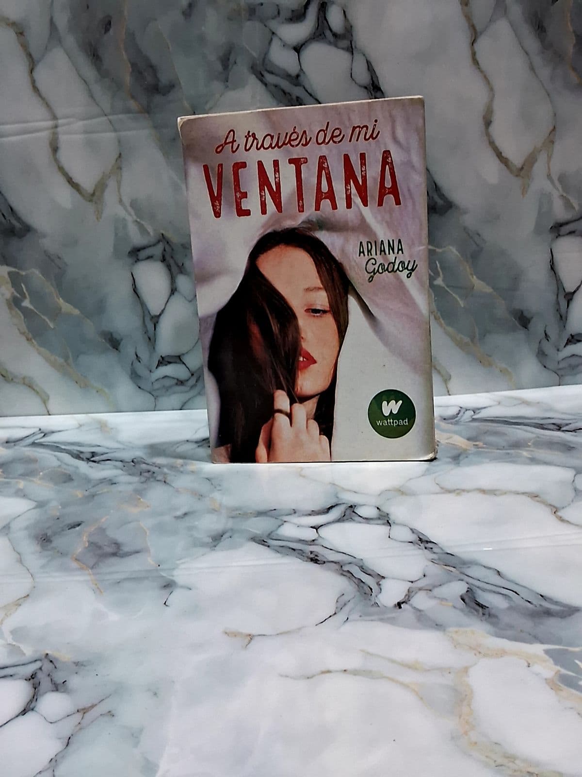 A través de mi venta — Ariana Godoy, libro usado
