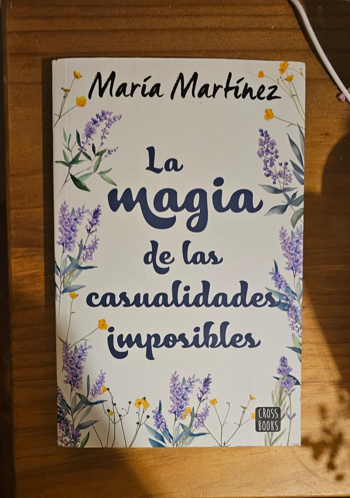 La magia de las casualidades mposibles — María martínez , libro usado