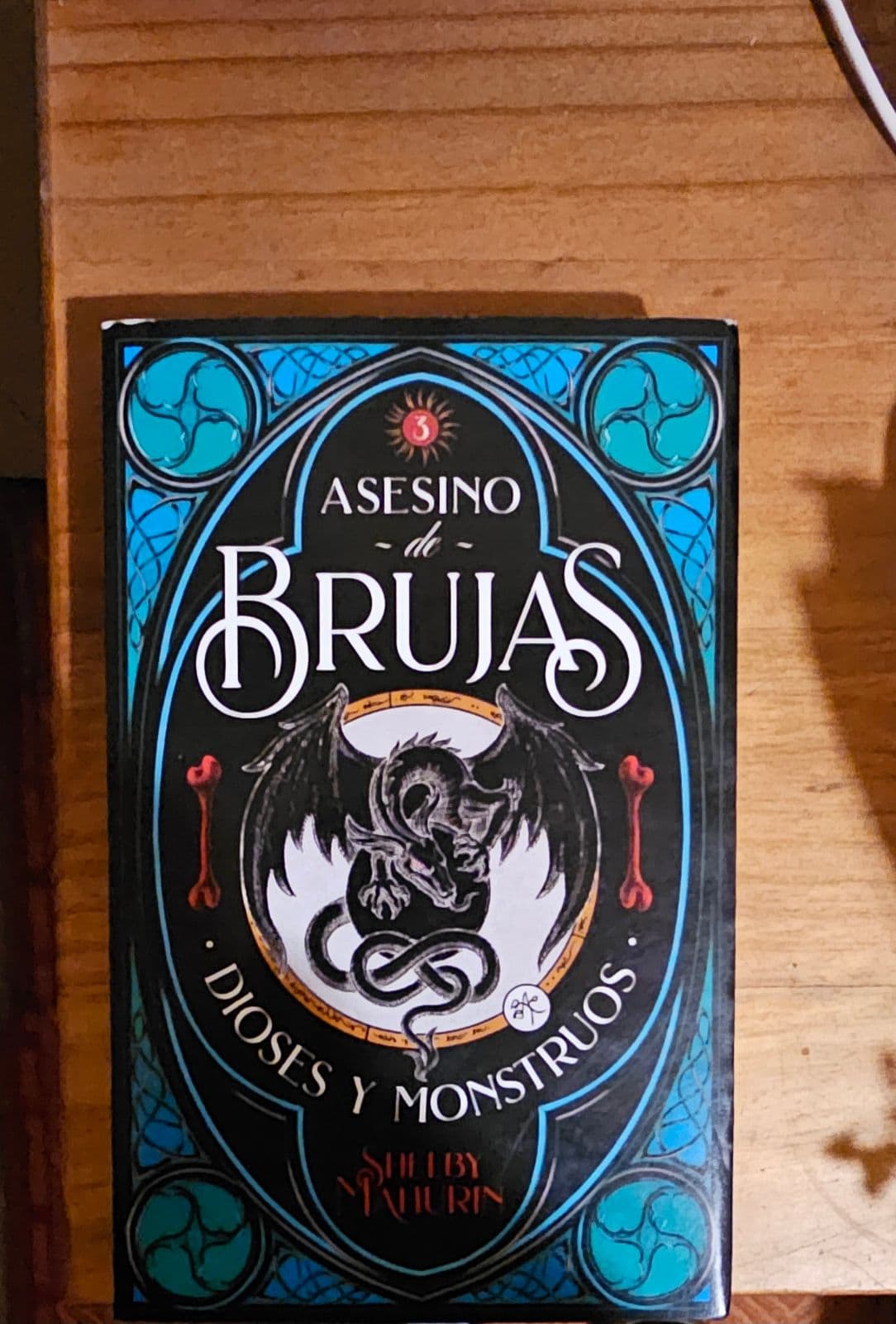 Dioses y monstruos — Shelby Mahurin, libro usado