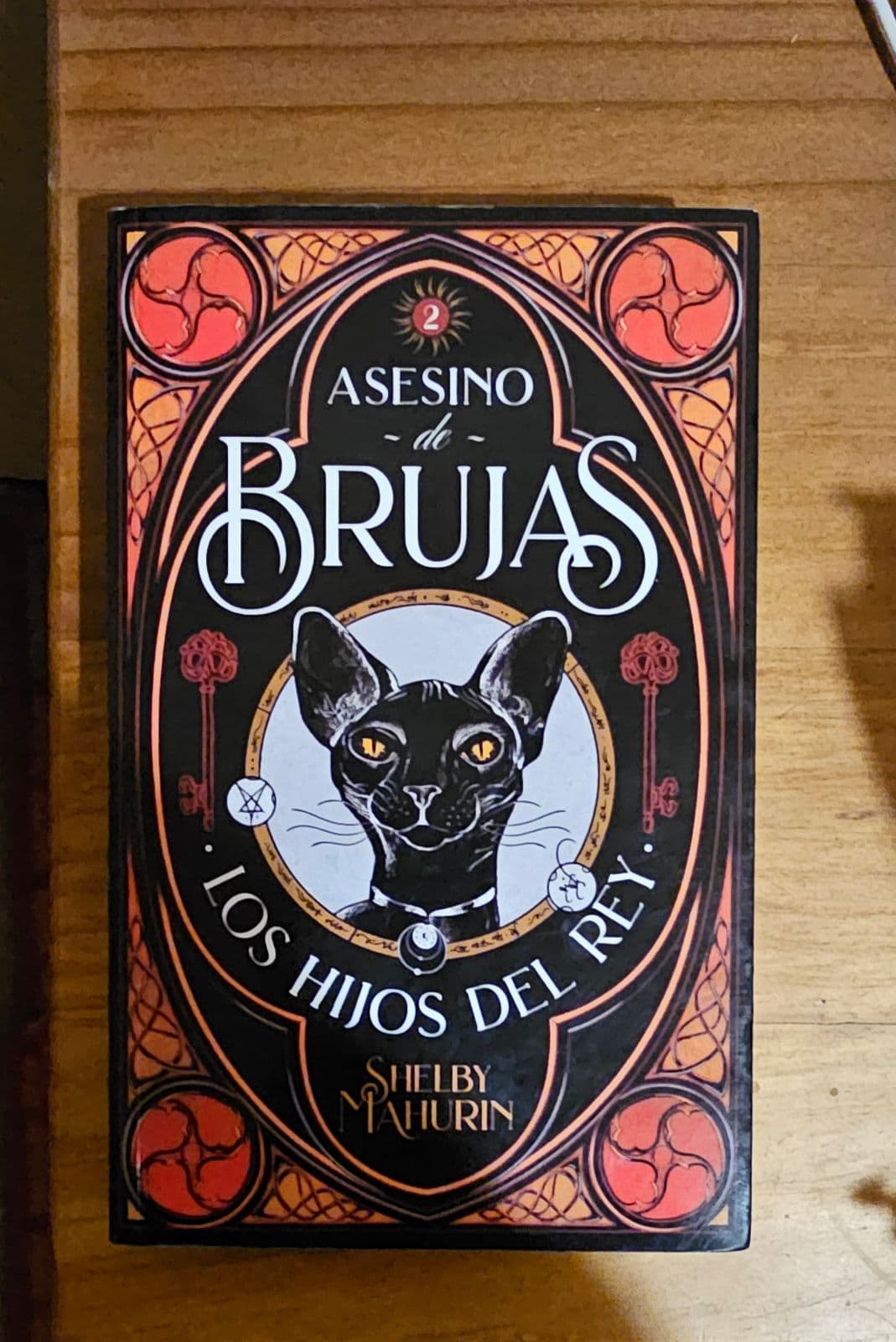Los hijos del rey — Shelby Mahurin, libro usado