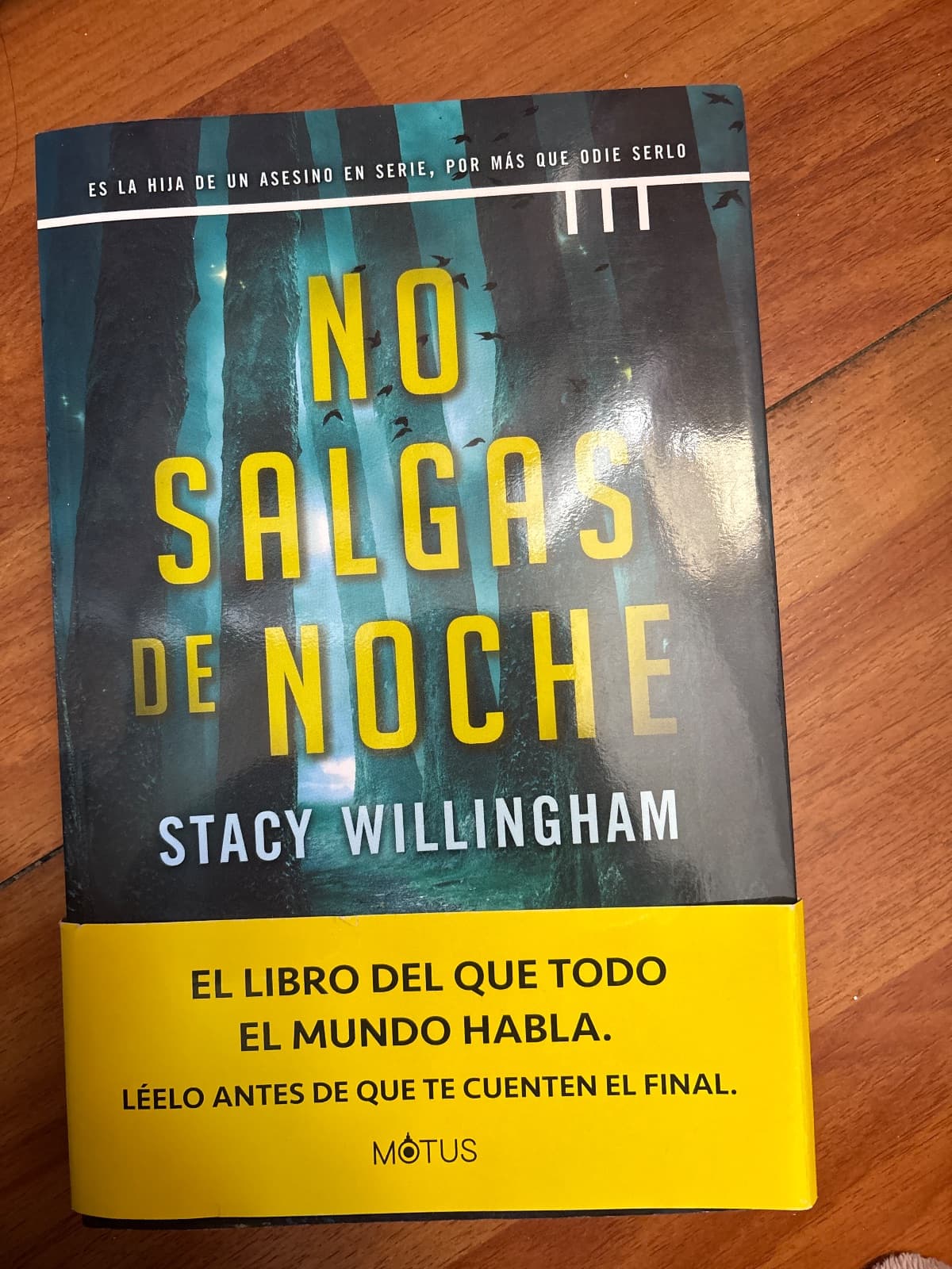 No salgas de noche — Stacy Willimgham, libro usado