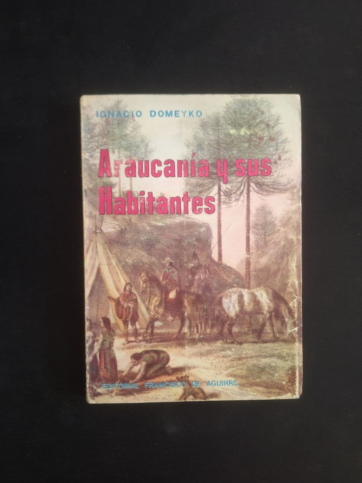 Araucania y sus habitantes — Ignacio Domeyko, libro usado (foto 1 de 5)