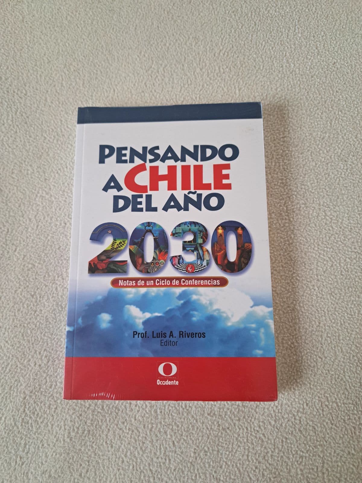 Pensando a Chile del Año 2030: Notas de un Ciclo de Conferencias — Prof. Luis A. Riveros (Editor), libro usado
