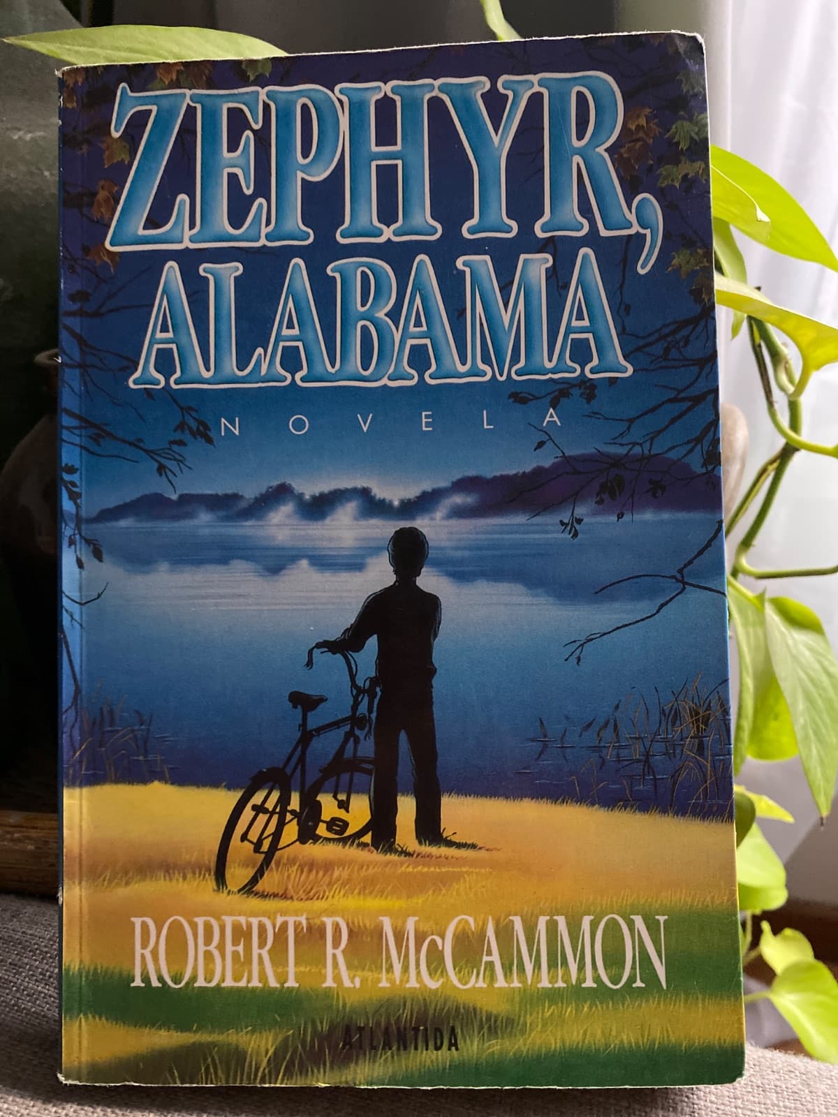 Boy's Life (Zephyr, Alabama) — Robert R. McCammon, libro usado (foto 1 de 2)