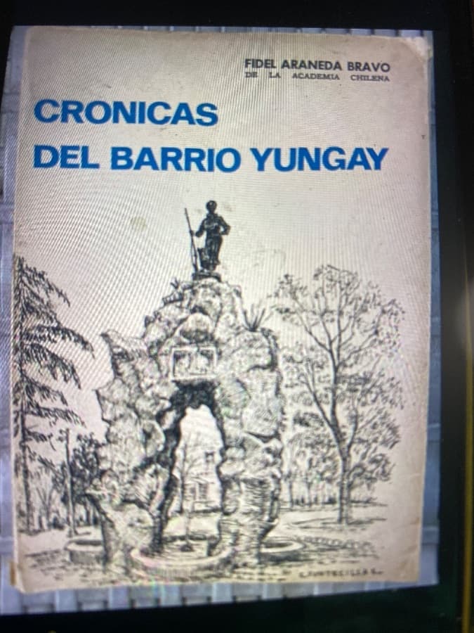 Crónicas del Barrio Yungay — Fidel Araneda Bravo, libro usado