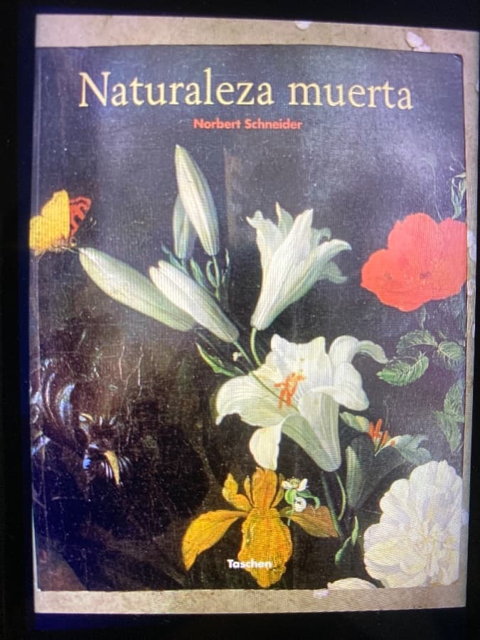 Naturaleza muerta — Norbert Schneider, libro usado