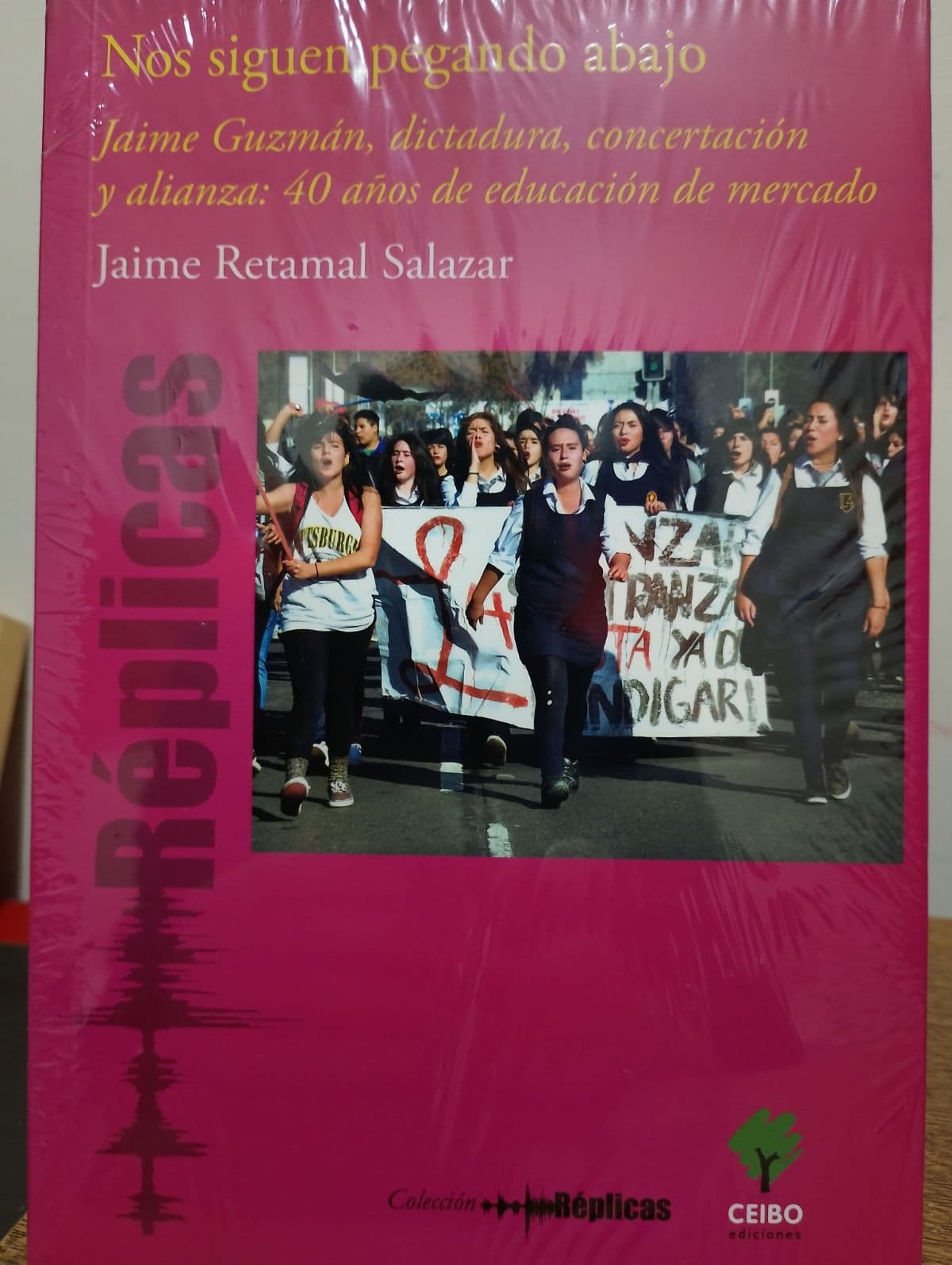 Nos siguen pegando abajo — Jaime Retamal Salazar, libro usado (foto 1 de 3)