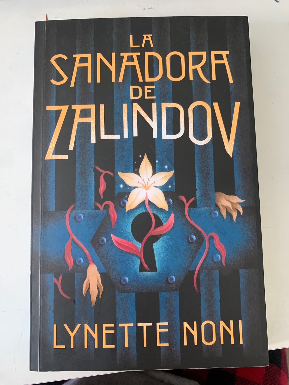 La Sanadora de Zalindov — Lynette Noni , libro usado