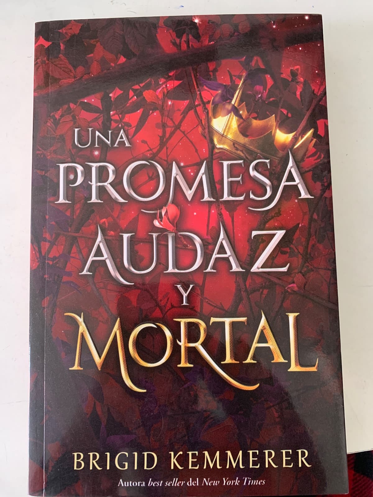 Una Promesa Audaz y Mortal — Brigid Kemmerer , libro usado