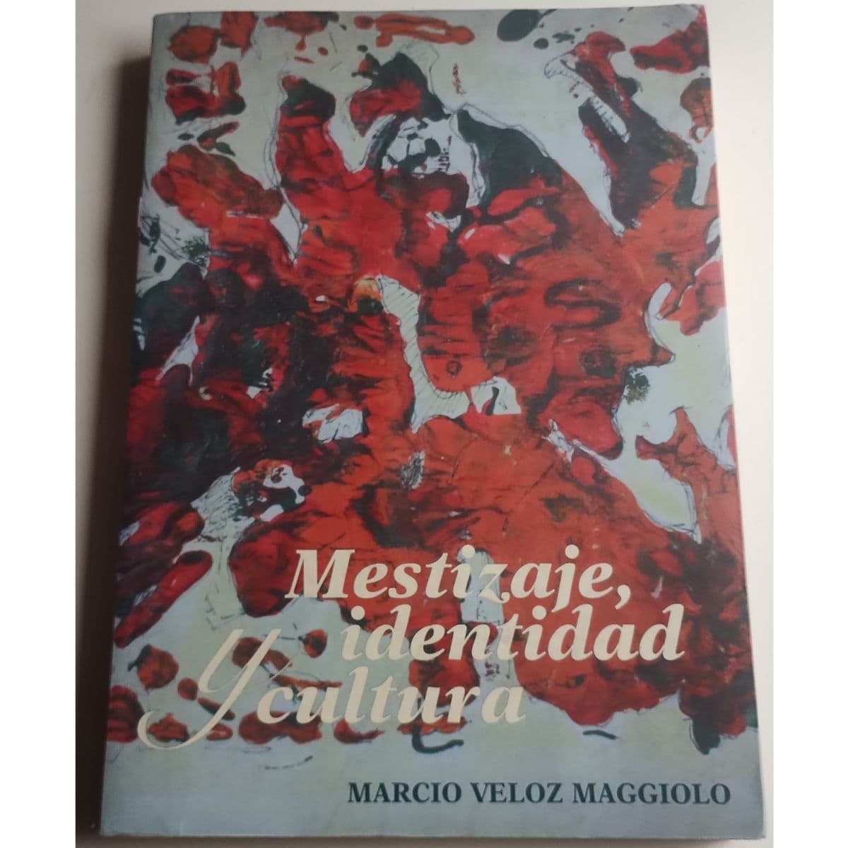 Libro Indigenismo. Mestizaje, identidad y cultura.