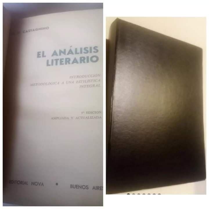El análisis literario — Raul castagnino , libro usado