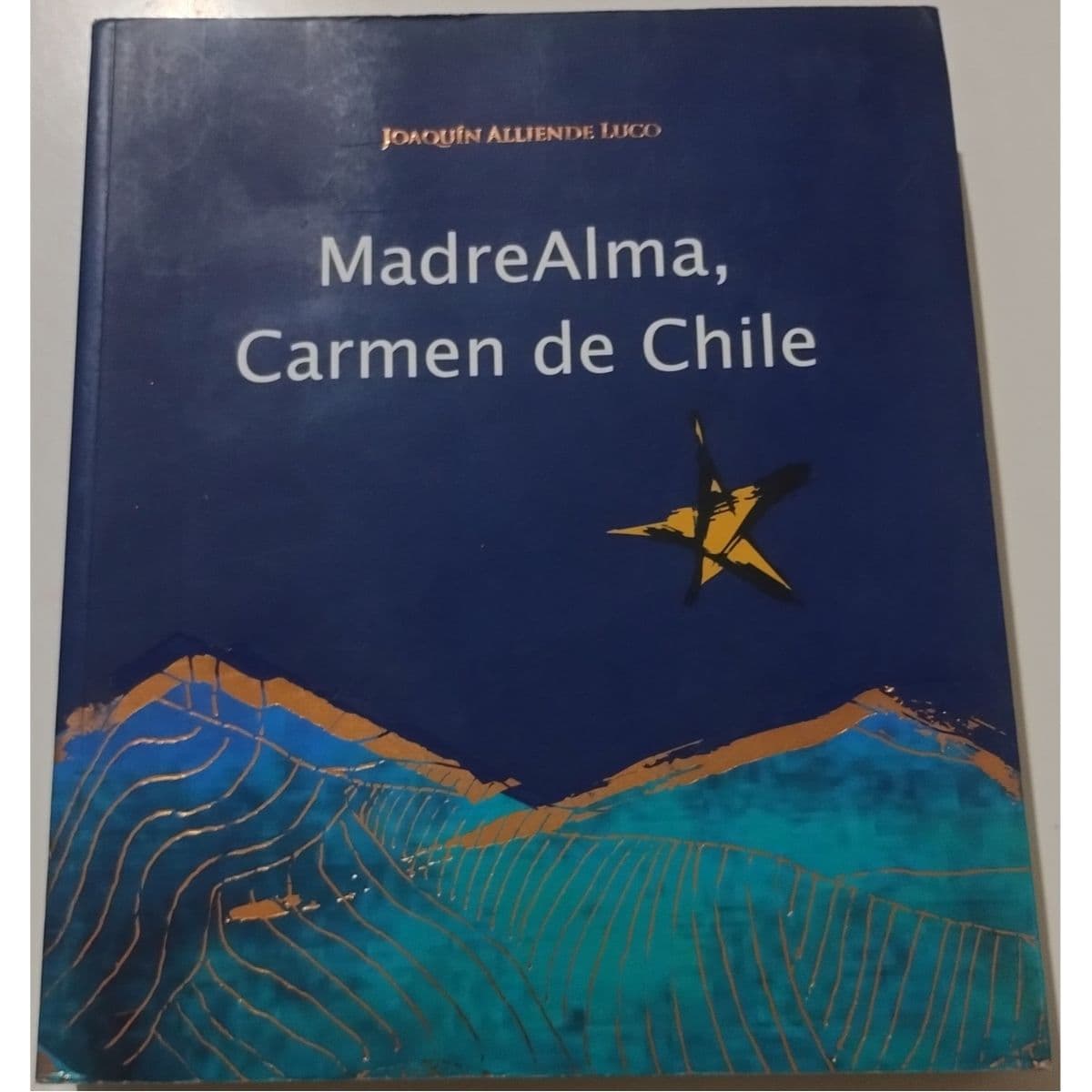 Madrealma Carmen de Chile — Joaquín Alliende Luco , libro usado