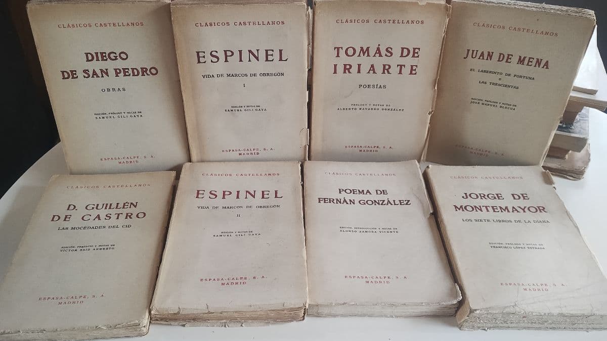 Pack de 8 libros Clásicos Castellanos Espasa Calpe