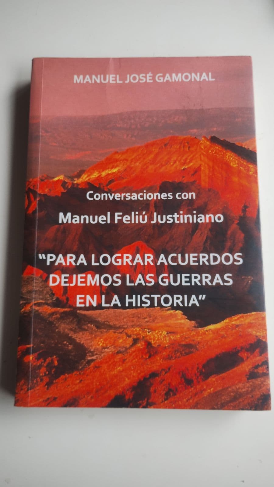 "Conversaciones con Manuel Feliú Justiniano" — Manuel José Gamonal, libro usado