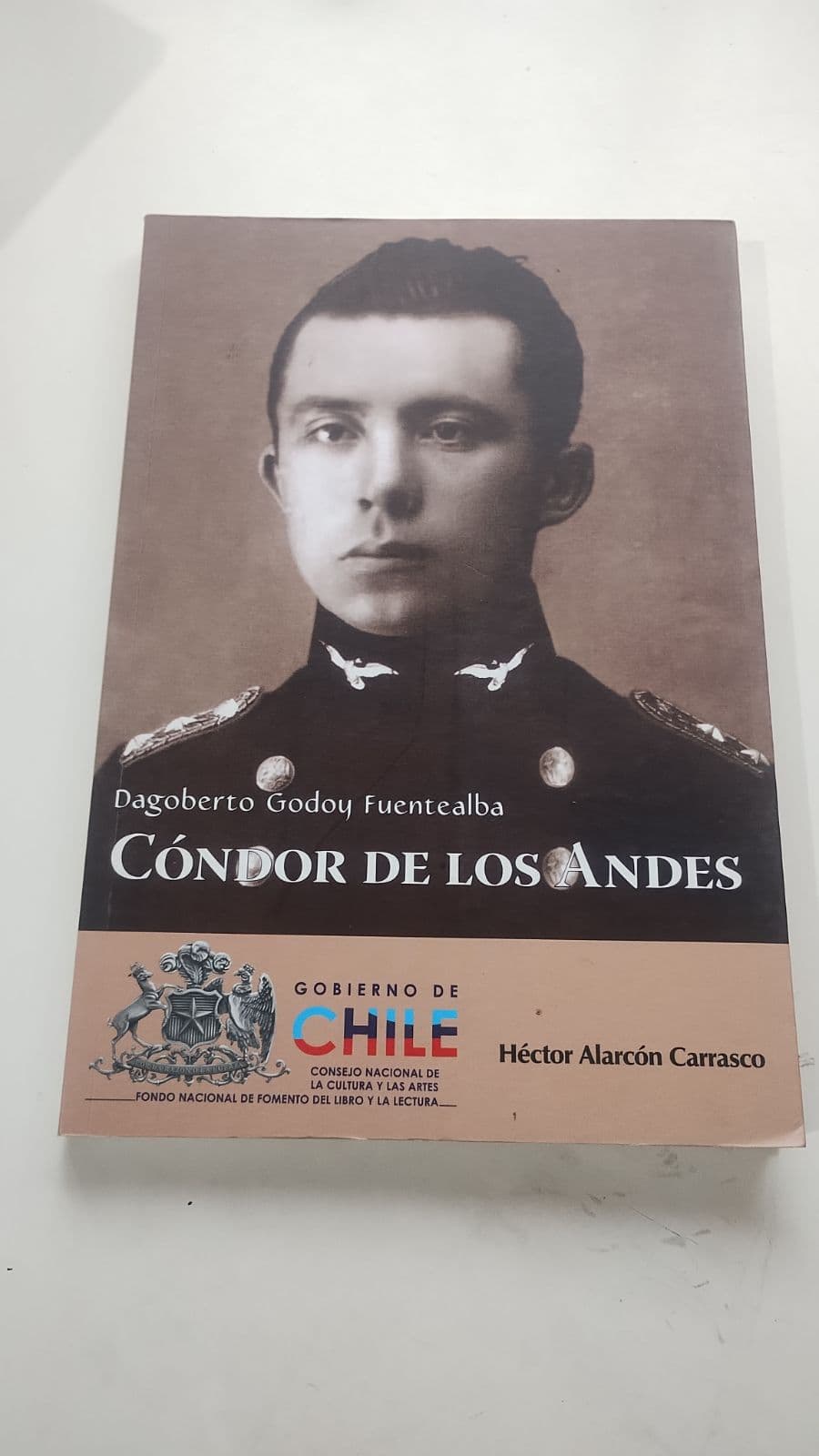 Cóndor de los andes — Dagoberto Godoy Fuentealba , libro usado (foto 1 de 6)