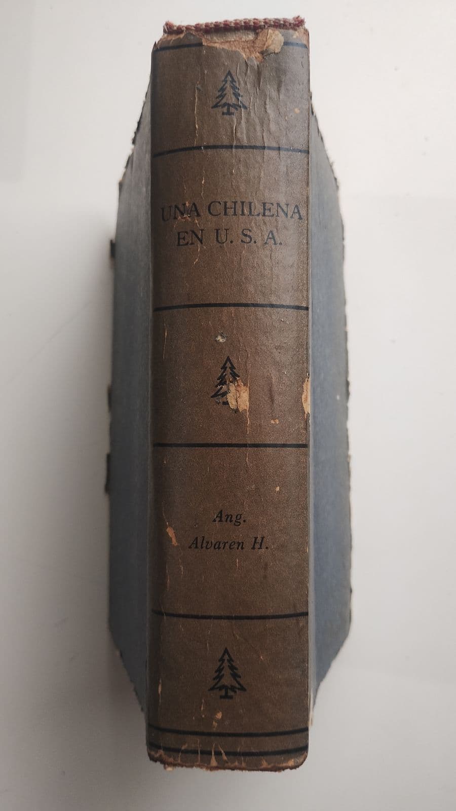 Una Chilena en U. S. A. Ang. Álvarez año 1959 — Ang Álvarez , libro usado