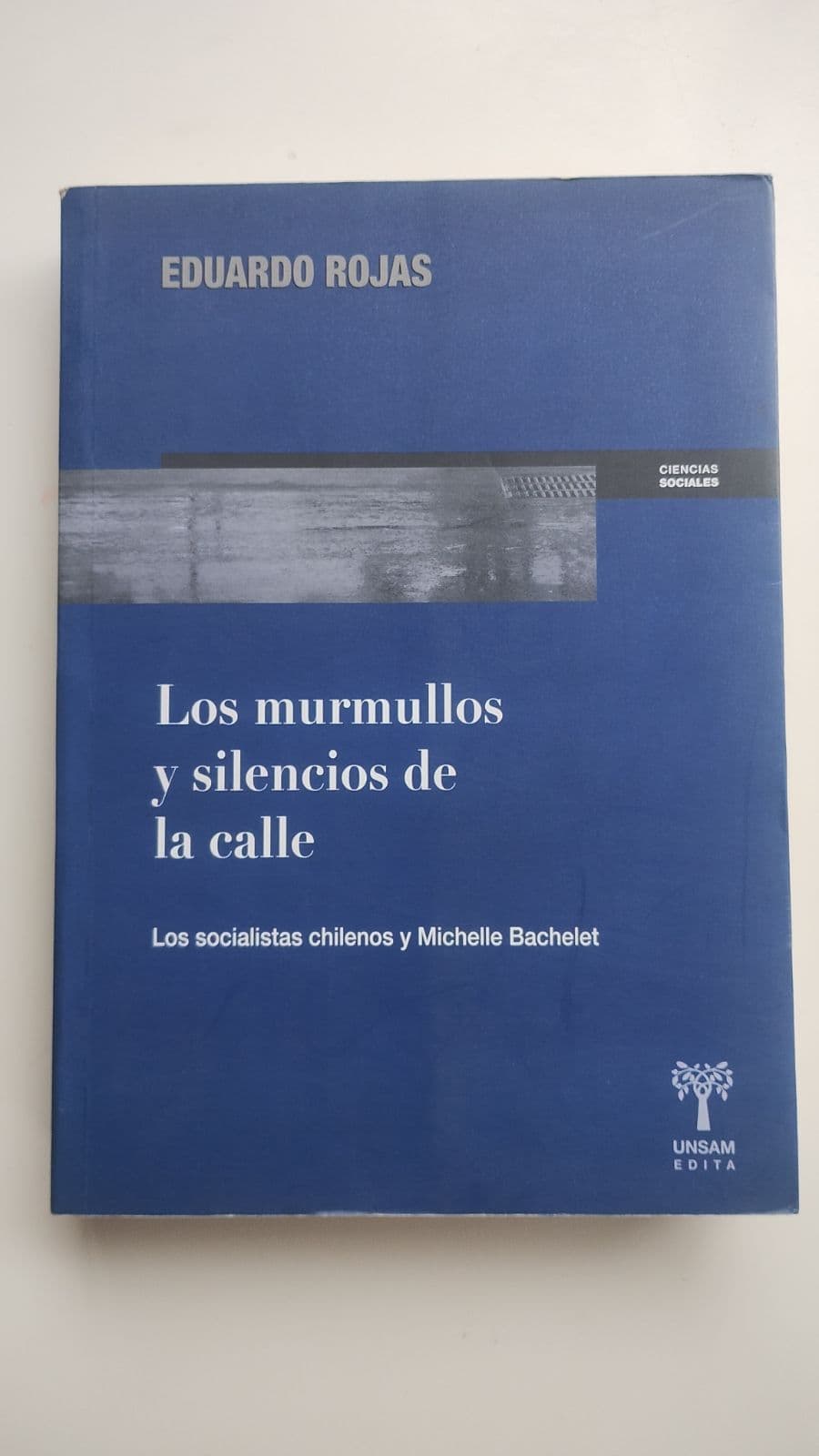 Los murmullos y silencios de la calle. Los Socialistas Chilenos y Michelle Bachelet — Eduardo Rojas , libro usado (foto 1 de 5)