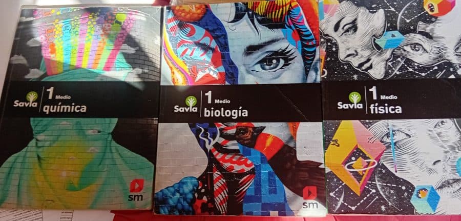 Física — Daniella Frigerio Cortés, libro usado