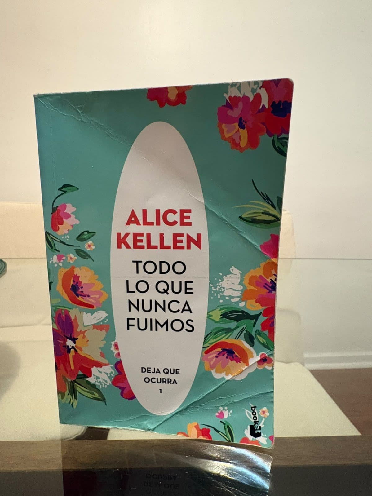 Todo lo que nunca fuimos — Alice Kellen, libro usado