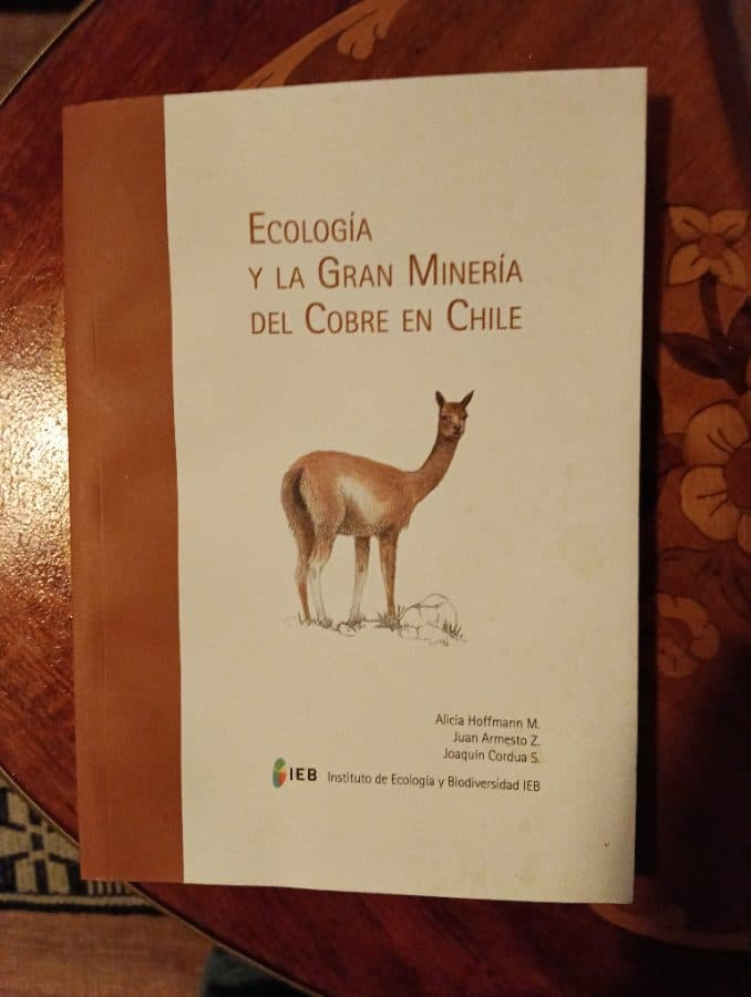 Ecología y la Gran Minería del Cobre en Chile — Alicia Hoffmann M., Juan Armesto Z., Joaquín Cordua S., libro usado
