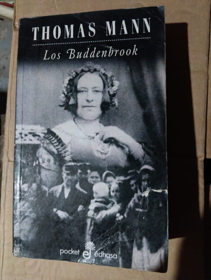 Los Buddenbrook — Thomas Mann, libro usado