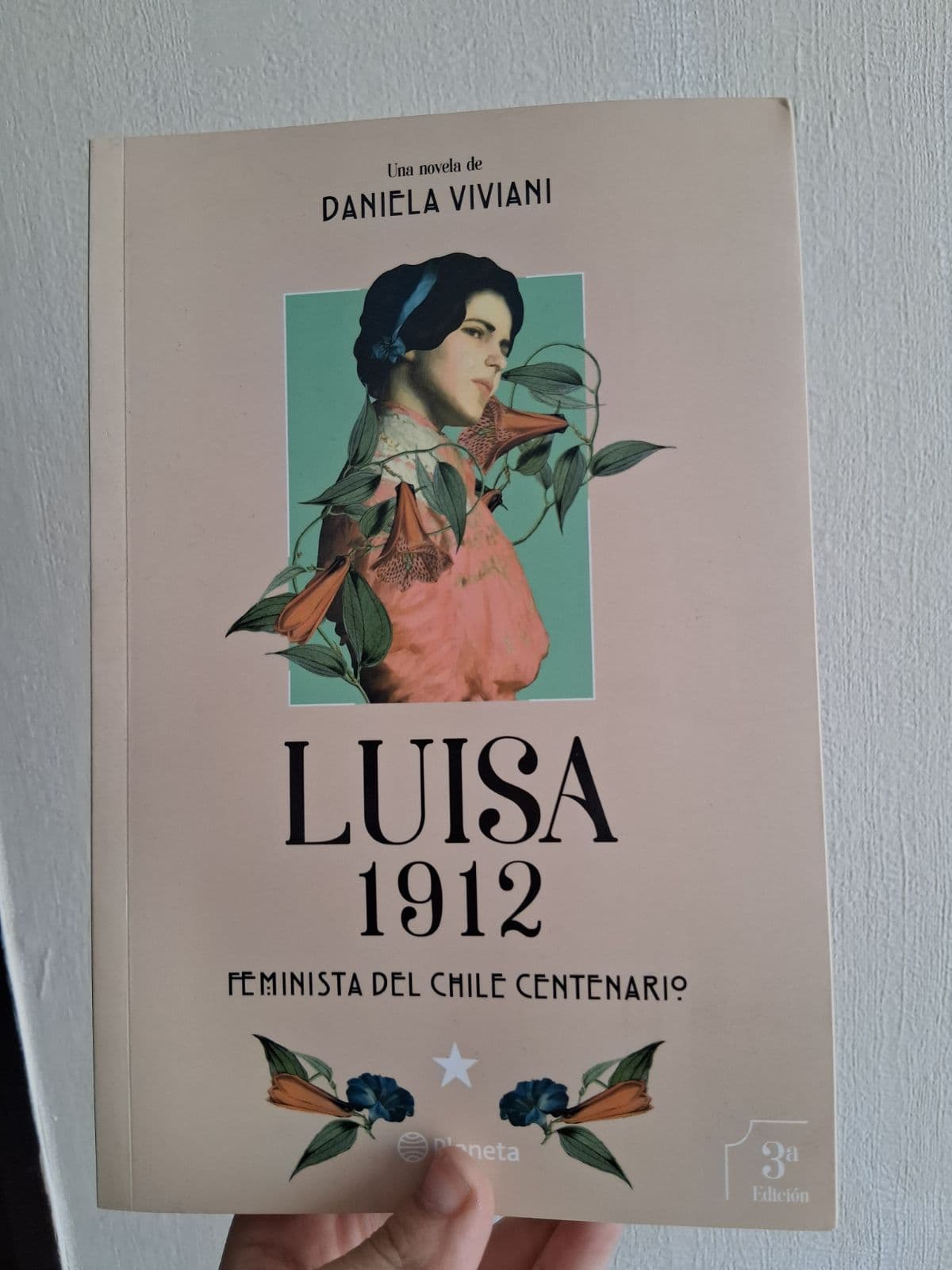 Luisa 1912 — Daniela Viviani, libro usado