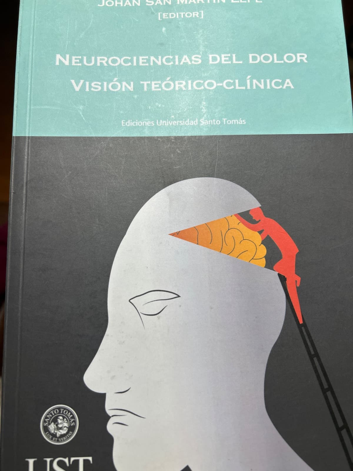 Neurociencias del dolor. Visión teórico-clínica — Johan San Martín Lepe, libro usado