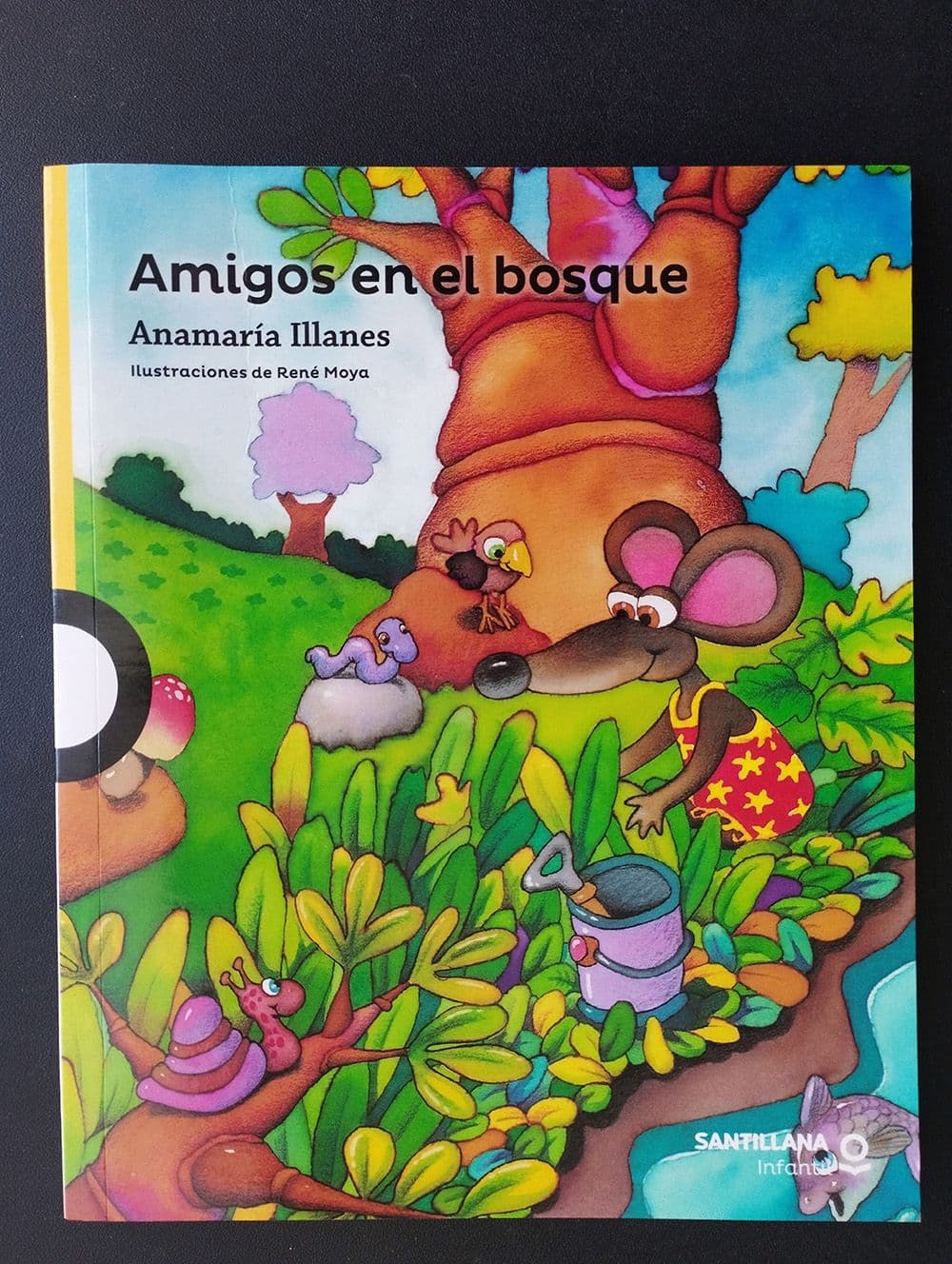 Amigos en el bosque — Anamaría Illanes, libro usado
