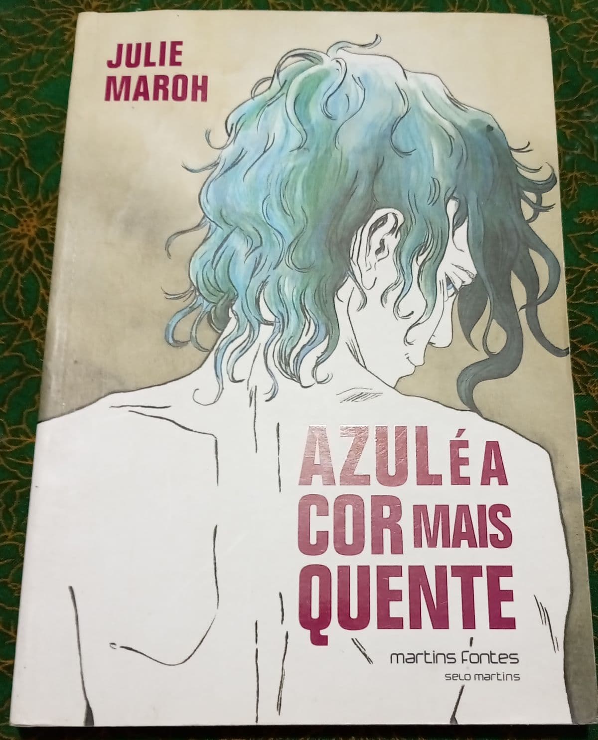 Azulé a cor máis quente — Julie maroh , libro usado