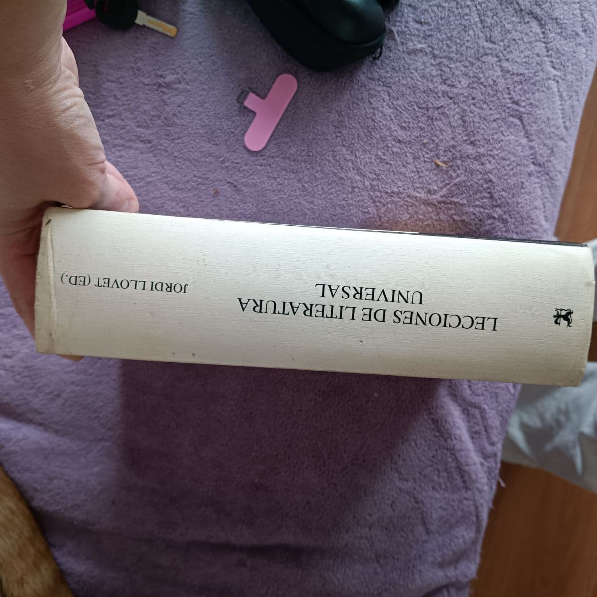 Lecciones de literatura universal. Siglos XII a XX — Jordi Llovet (ed.), libro usado (foto 2 de 18)