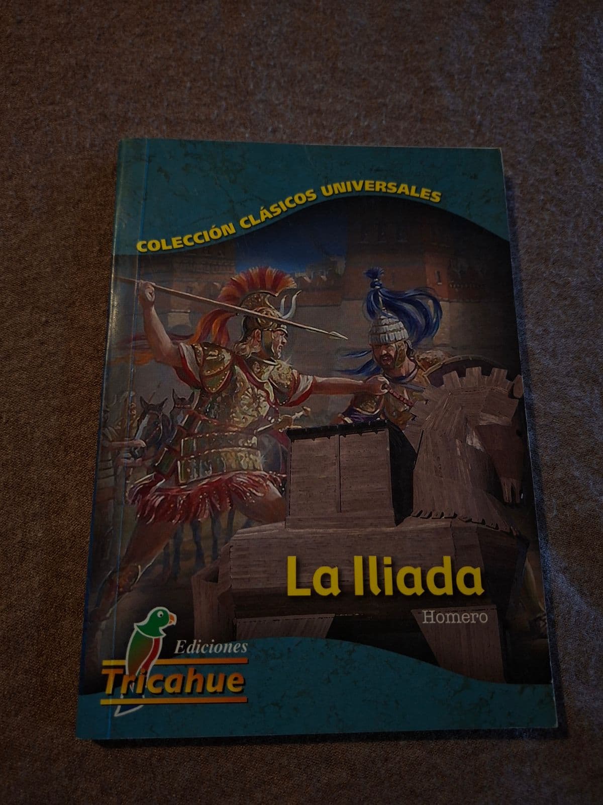 La Iliada — Homero, libro usado (foto 1 de 2)