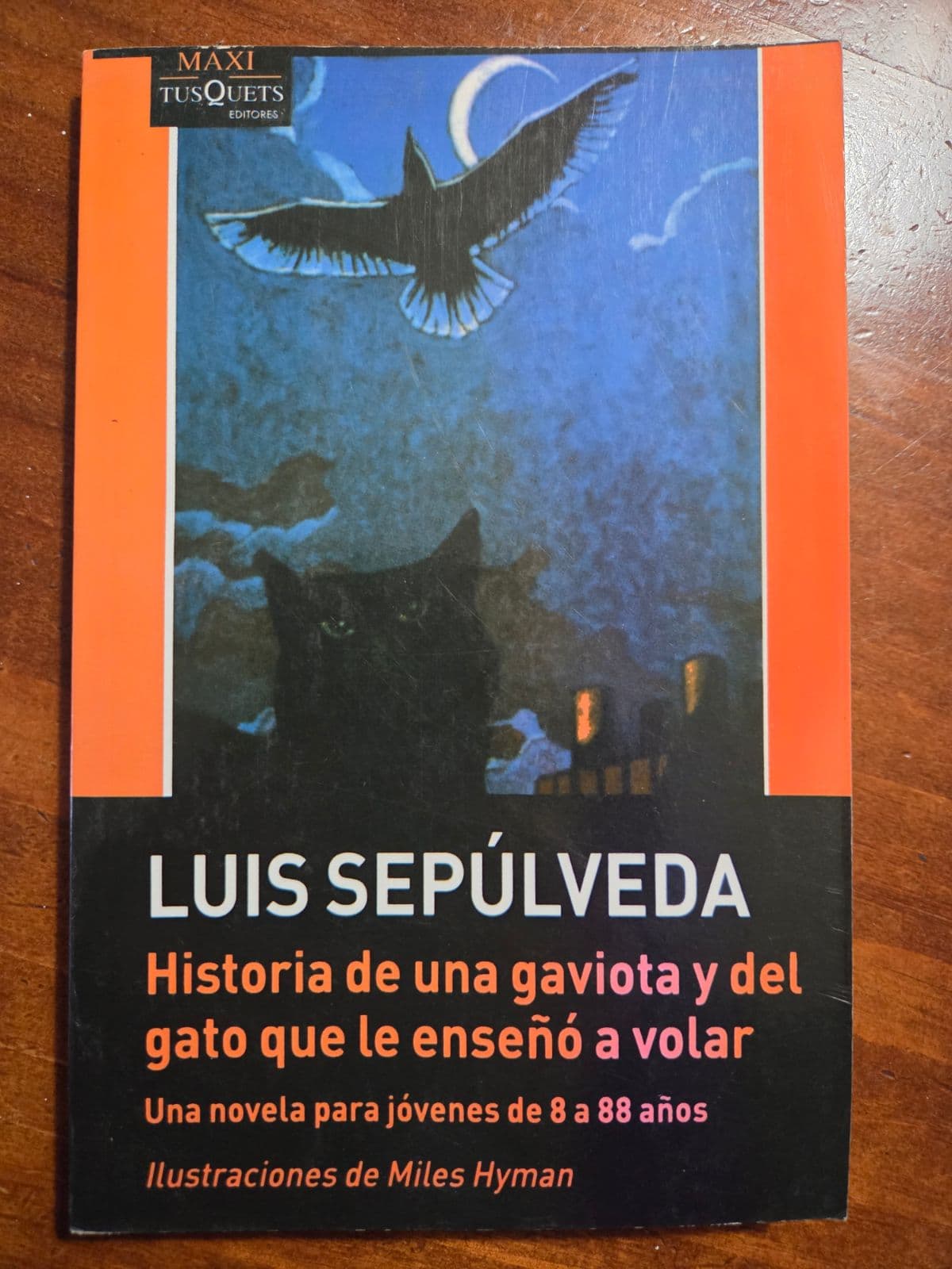 Historia de una gaviota y del gato que le enseñó a volar