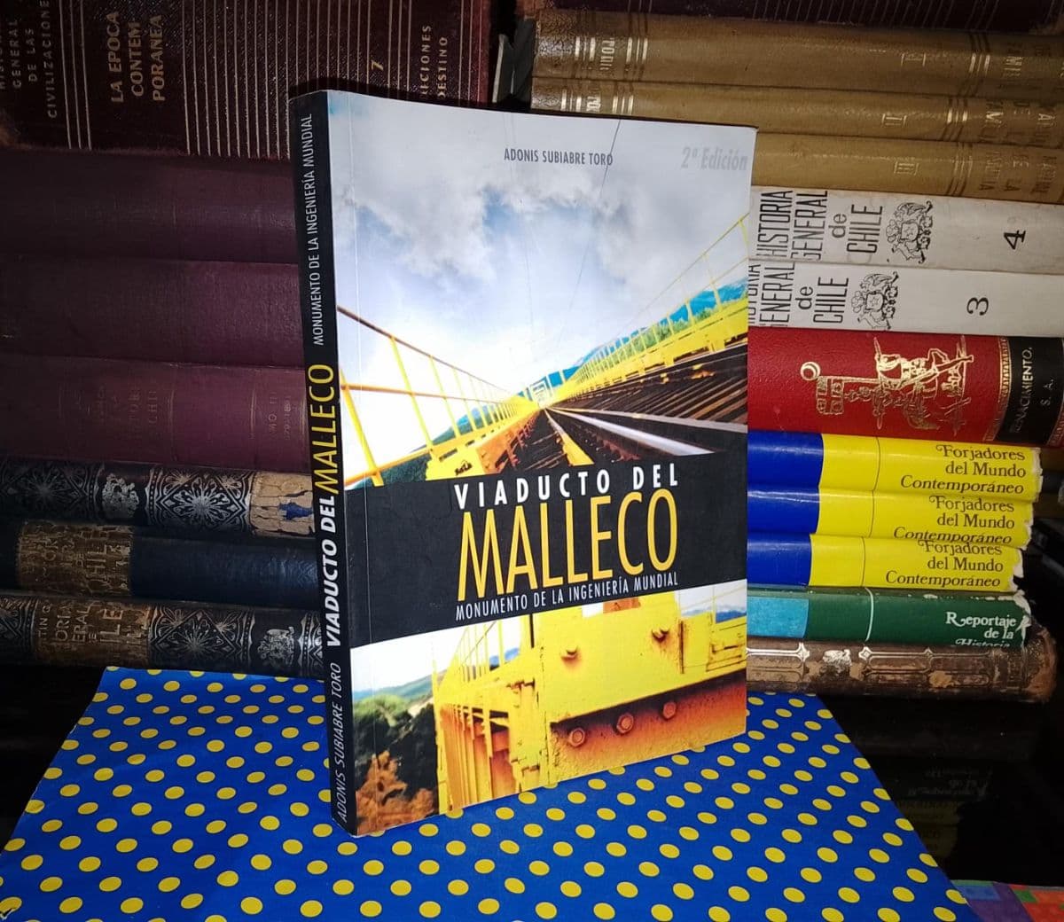 Viaducto Del Malleco — Adonis Subiabre Toro, libro usado (foto 1 de 5)