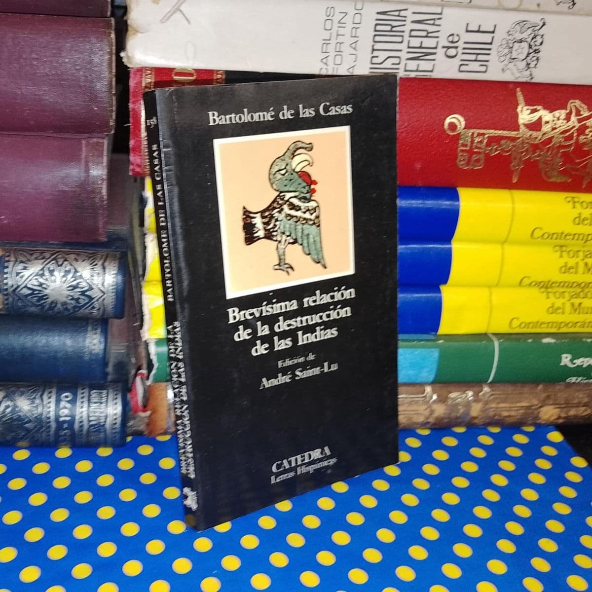 Brevísima Relación De La Destrucción De Las Indias — Bartolomé de las Casas, libro usado (foto 1 de 4)