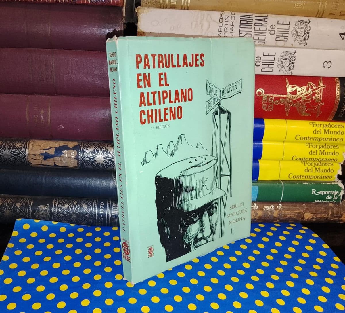 Patrullajes En El Altiplano Chileno — Sergio Marquez Molina, libro usado