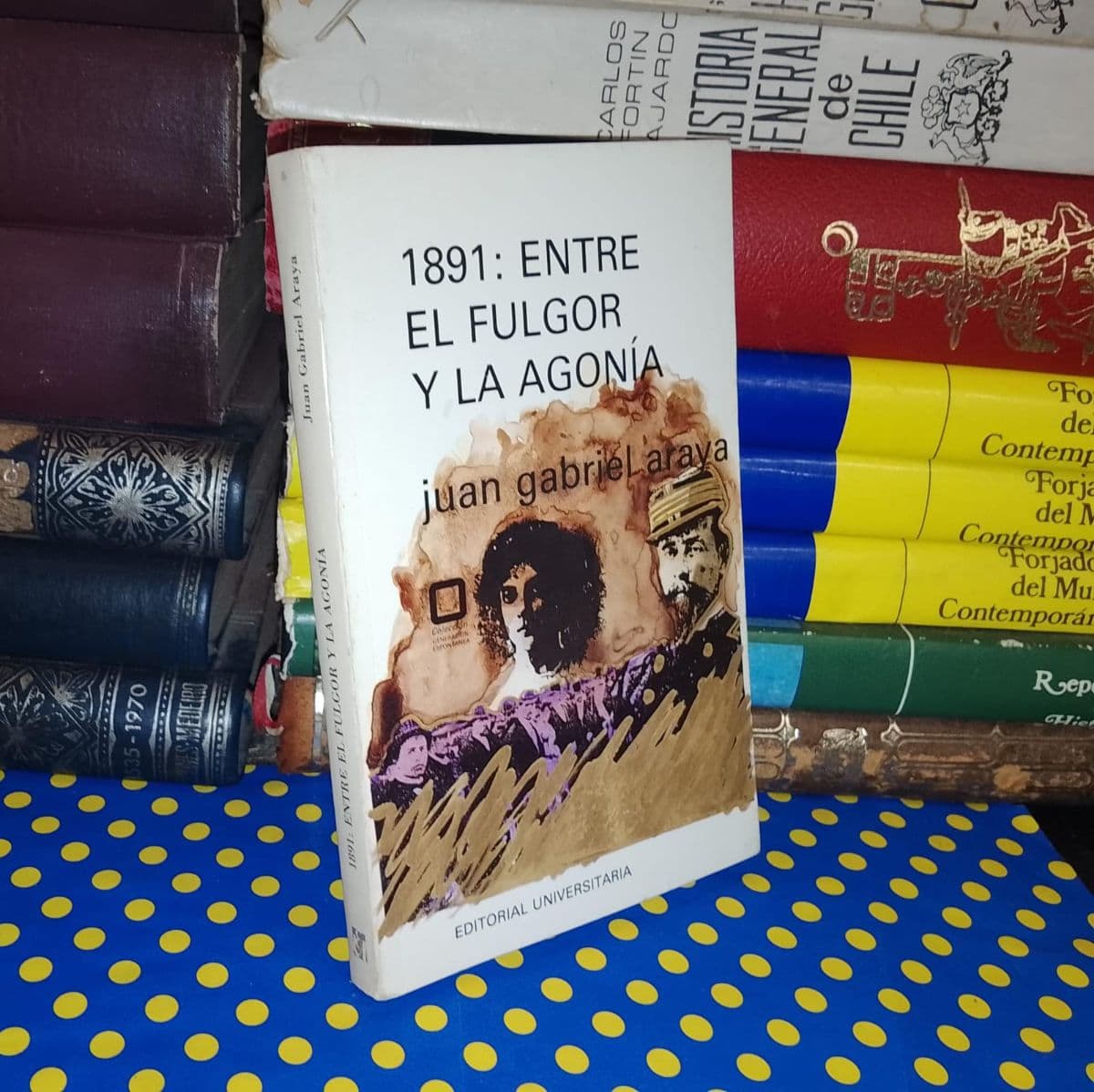 1891: Entre El Fulgor Y La Agonía — Juan Gabriel Laraya, libro usado (foto 1 de 3)