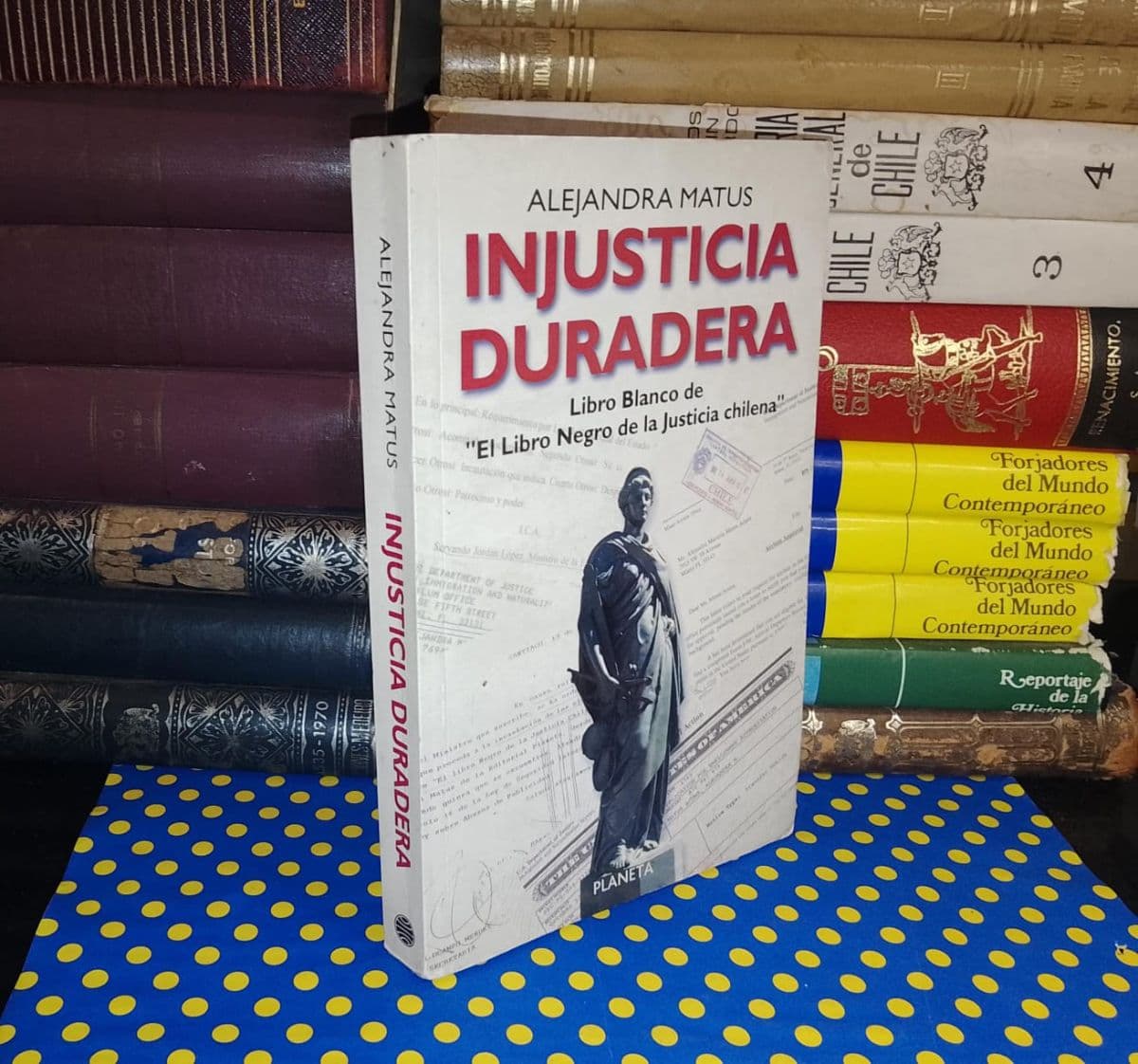 Injusticia Duradera — Alejandra Matus, libro usado (foto 1 de 3)