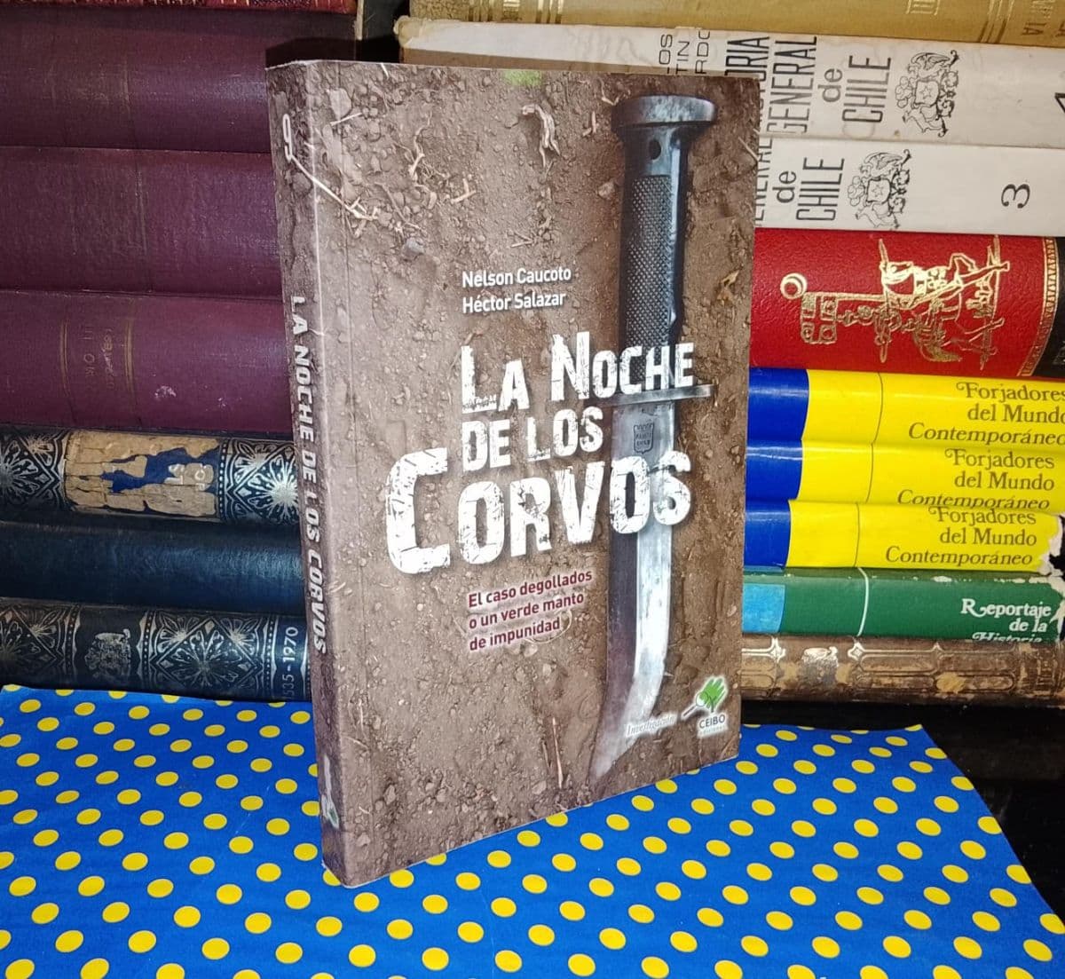 La Noche De Los Corvos — Nelson Caucoto | Héctor Salazar, libro usado (foto 1 de 4)