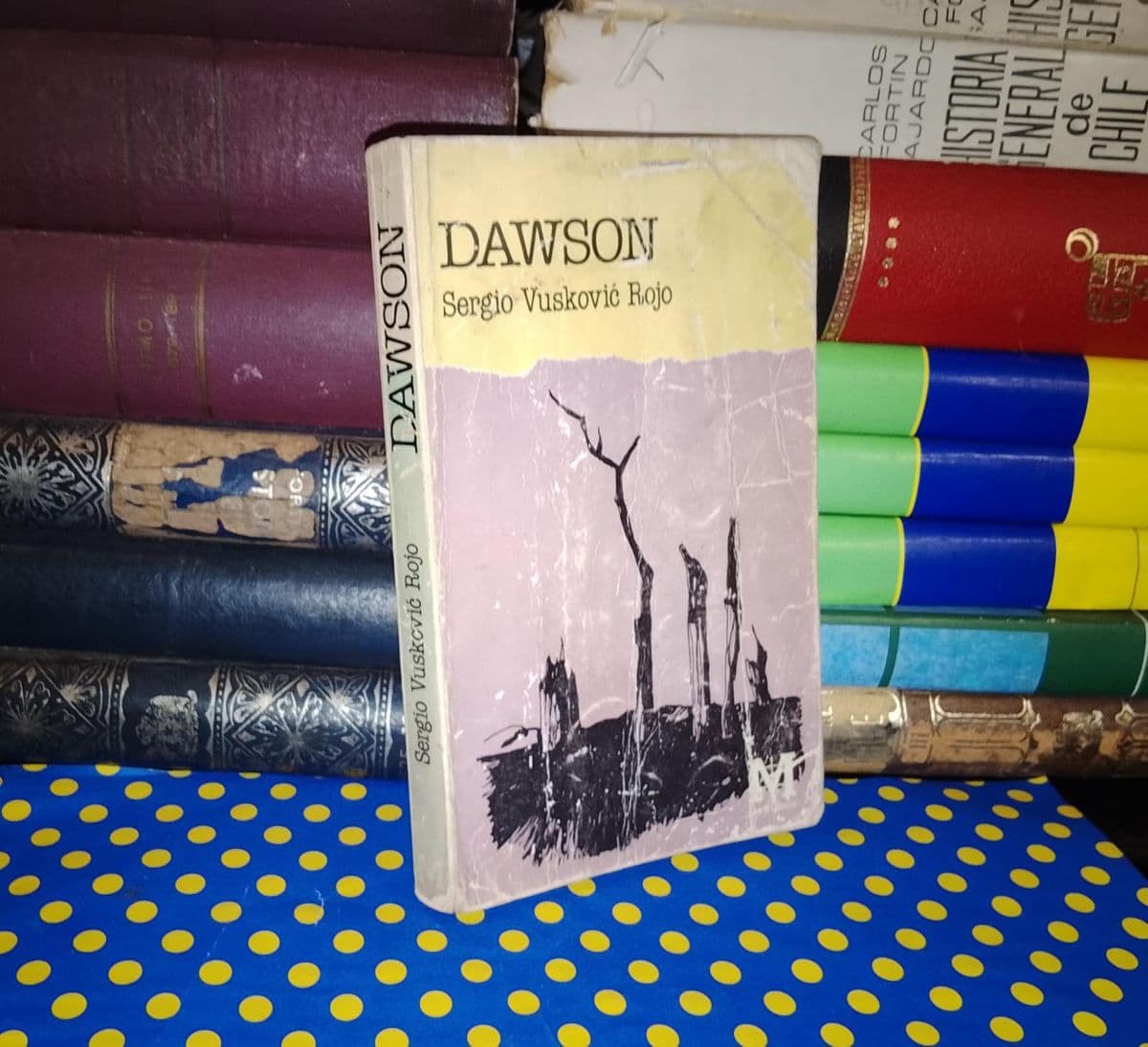 Dawson — Sergio Vuskovic Rojo, libro usado (foto 1 de 4)