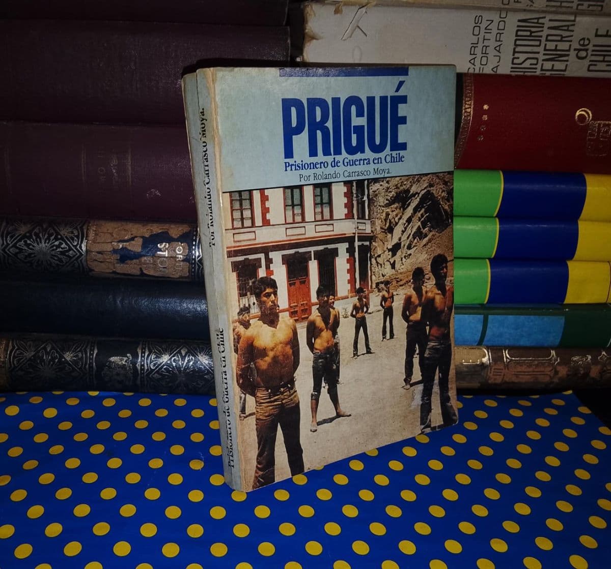 Prigué — Rolando Carrasco Moya, libro usado (foto 1 de 5)
