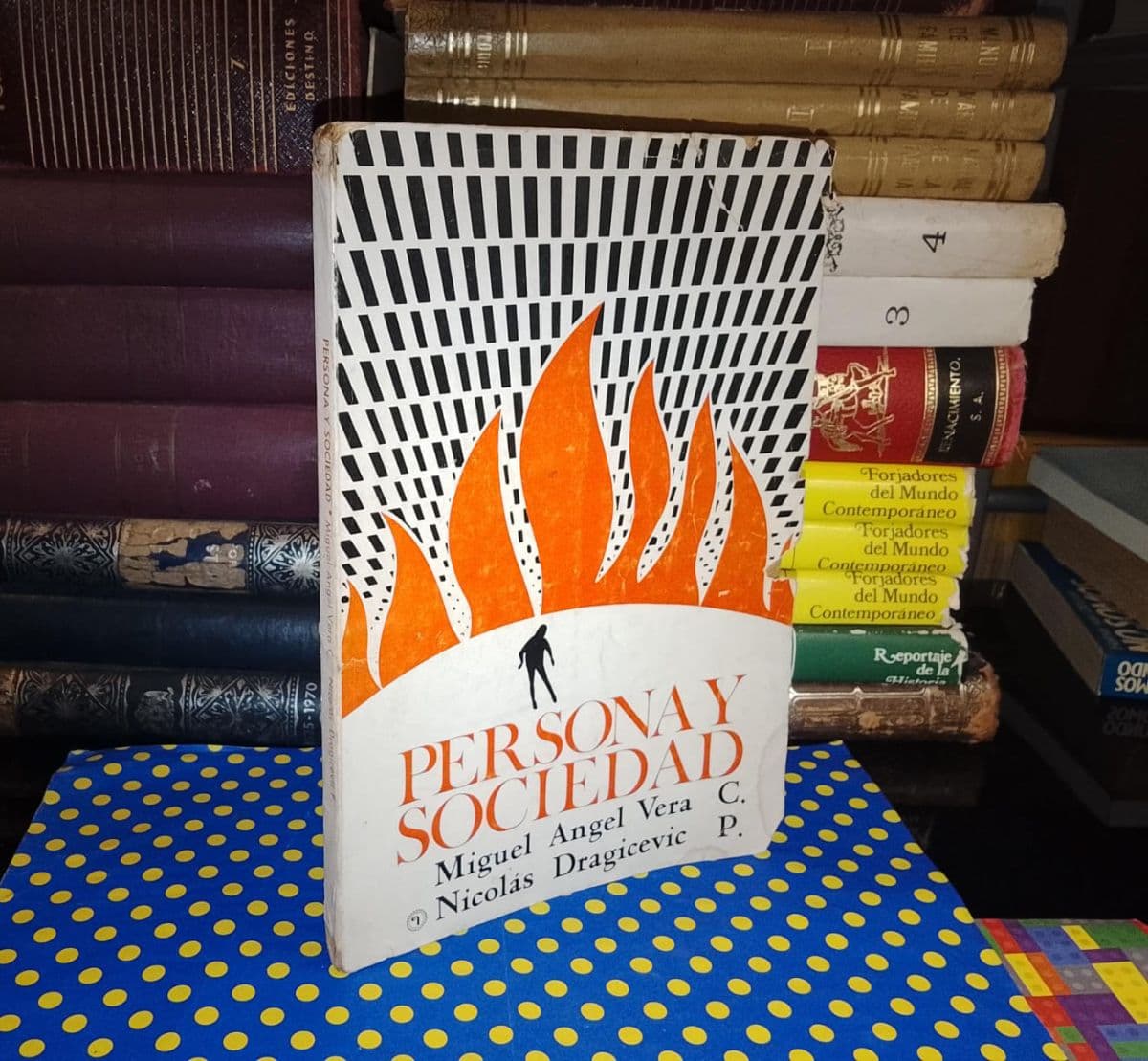 Persona Y Sociedad — Miguel Ángel Vera | Nicolás Dragicevic, libro usado