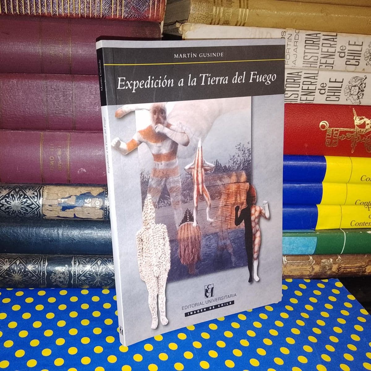 Expedición A La Tierra Del Fuego — Martín Gusinde, libro usado (foto 1 de 3)