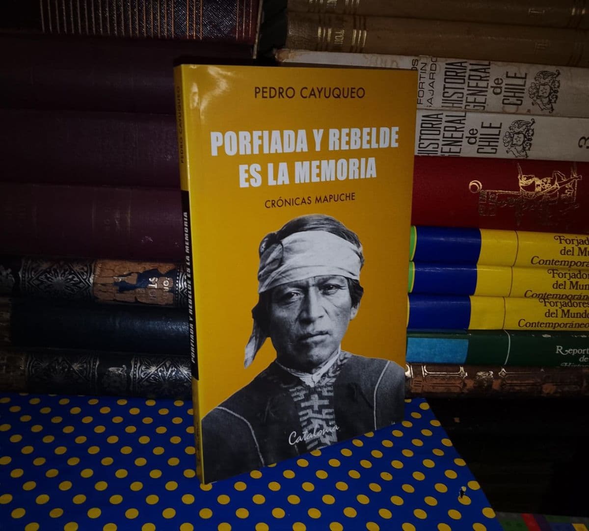 Porfiada Y Rebelde Es La Memoria — Pedro Cayuqueo, libro usado (foto 1 de 5)