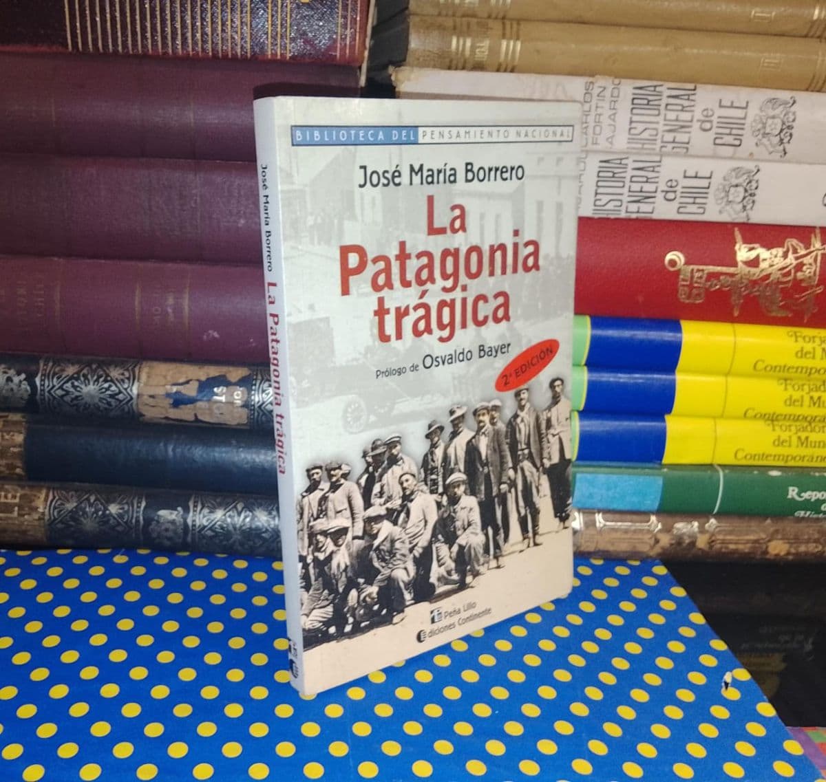 La Patagonia Trágica — José María Borrero, libro usado (foto 1 de 4)